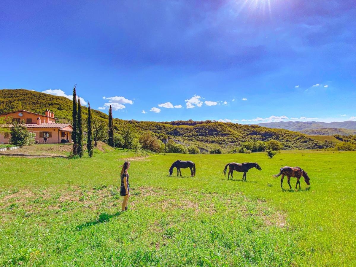 Апартаменти Ca' Dei Lanari - 10 Min Da Assisi San Presto Екстер'єр фото